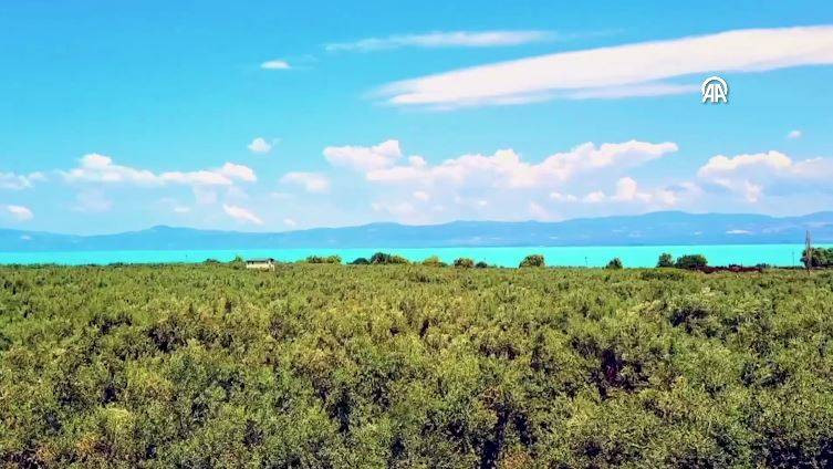 Burası Maldivler değil Türkiye! Manzarayı gören dönüp bir daha bakıyor - Resim: 19